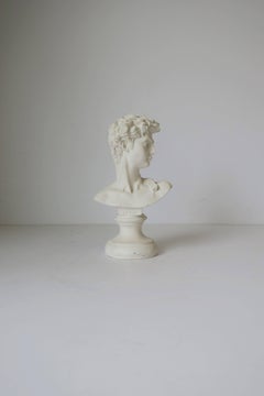 White Plaster Classical Roman Style Male Bust Sculpture of The David