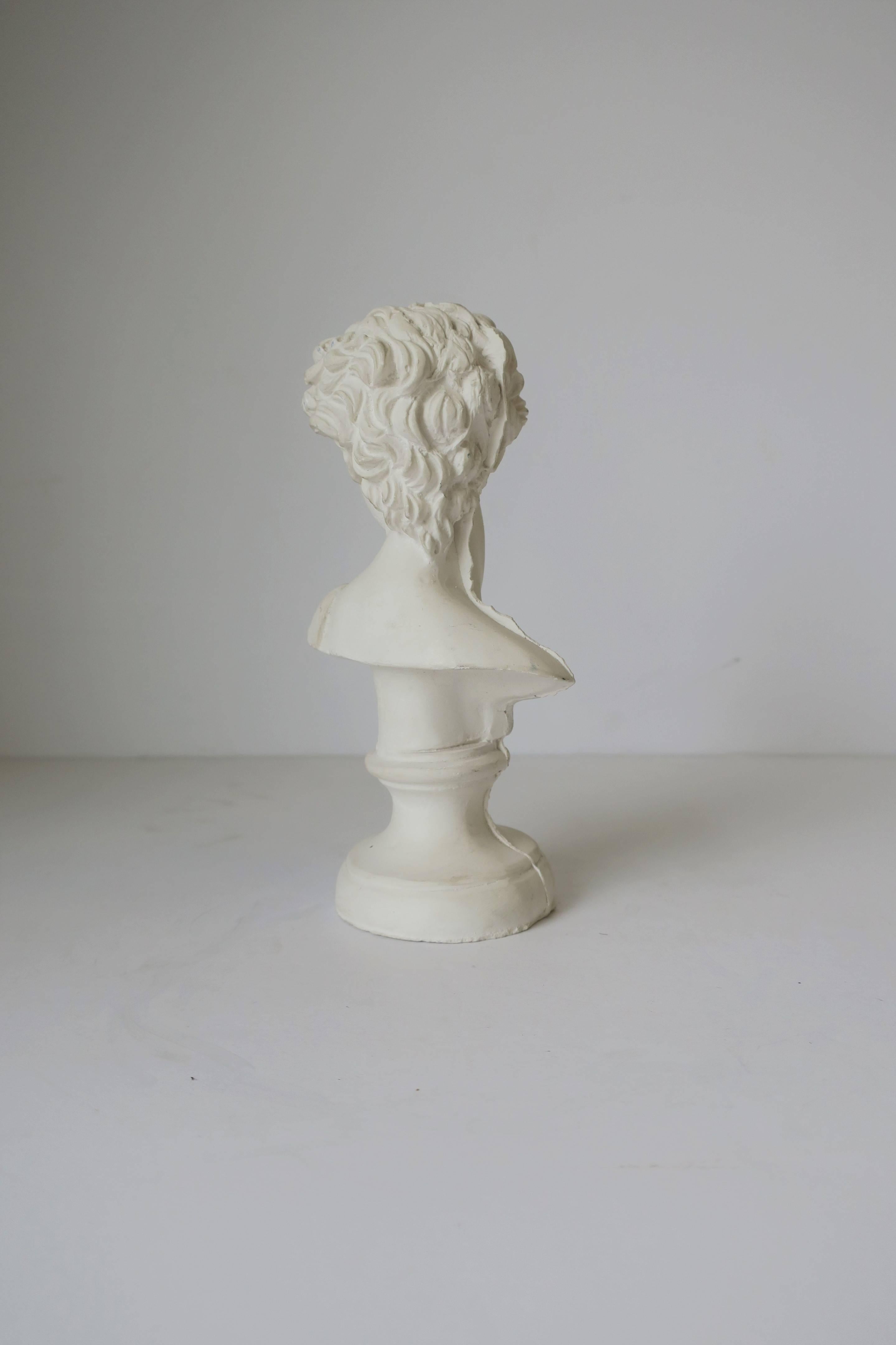 20th Century White Plaster Classical Roman Style Male Bust Sculpture of The David