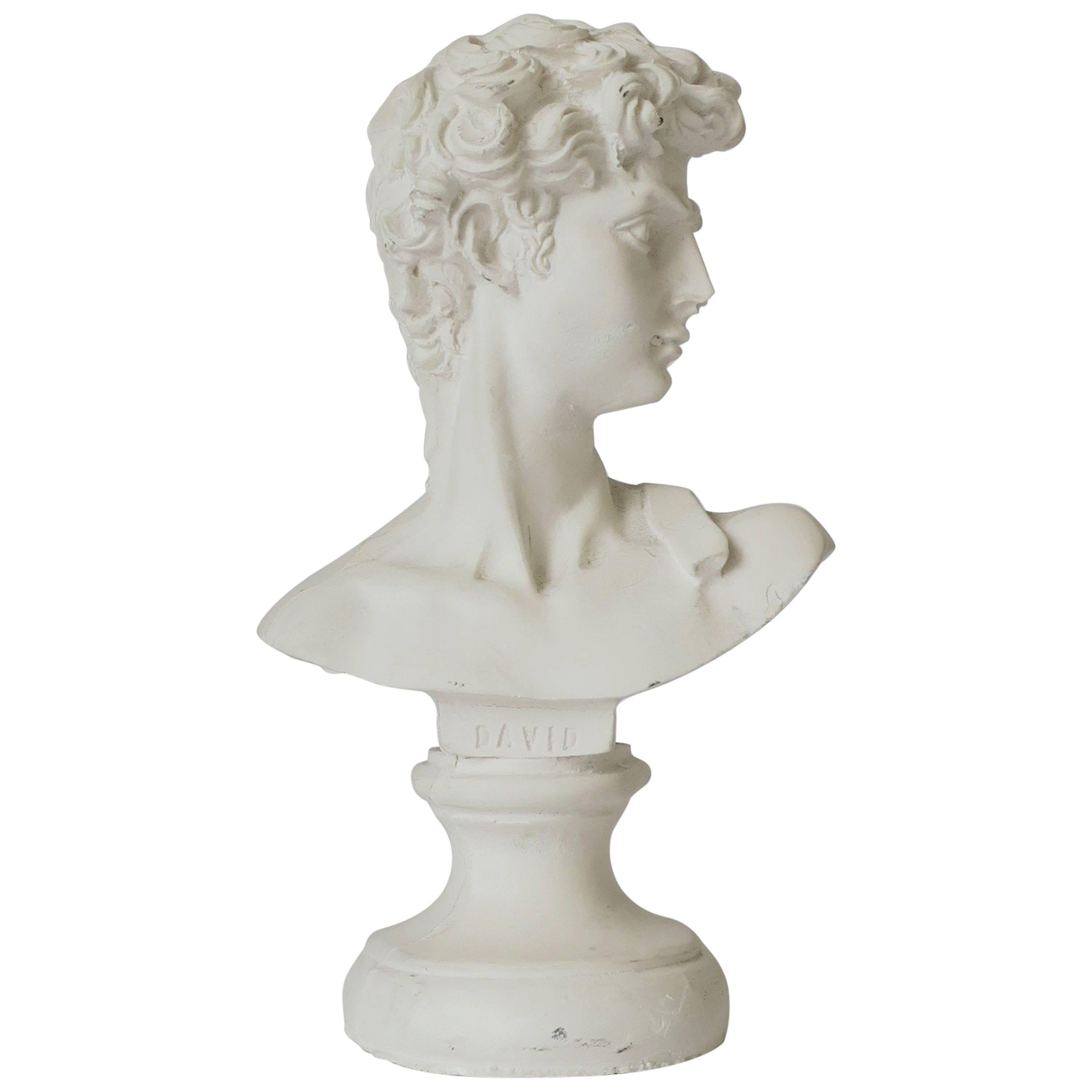 White Plaster Classical Roman Style Male Bust Sculpture of The David