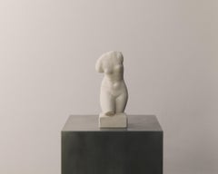 White plaster neoclassical venus torso