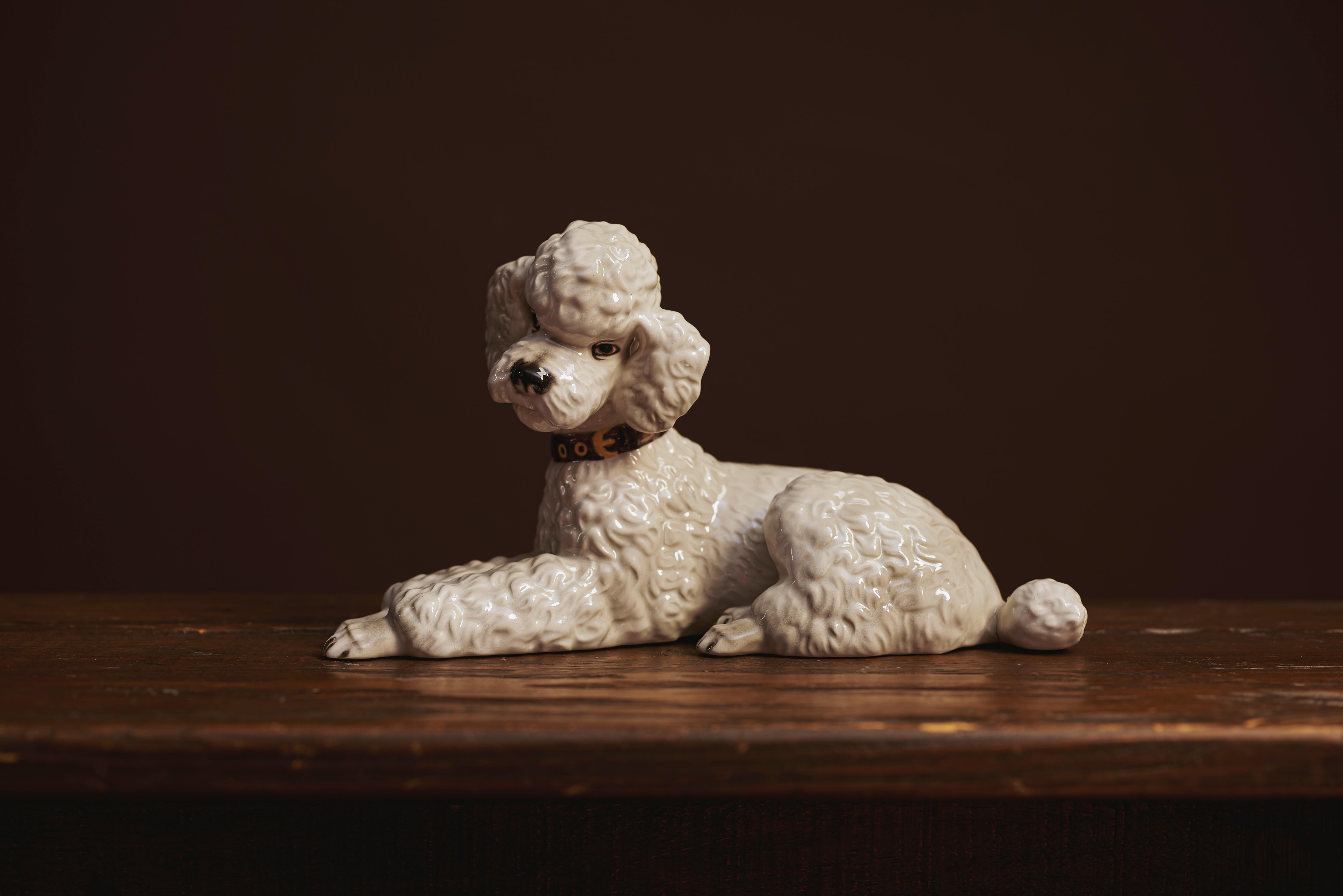 Scultura di barboncino bianco di Keramos - Design di Ina Eisenbeisser-Fuchs, Vienna, 1963 - Model No. 5139, sdraiata

Grande scultura di barboncino sdraiato della rinomata Keramos Vienna Manufactory, progettata nel 1963 dall'artista ceramista Mag.