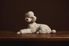 Sculpture en caniche blanc d'Ina Eisenbeisser-Fuchs pour Keramos, Vienne, 1963