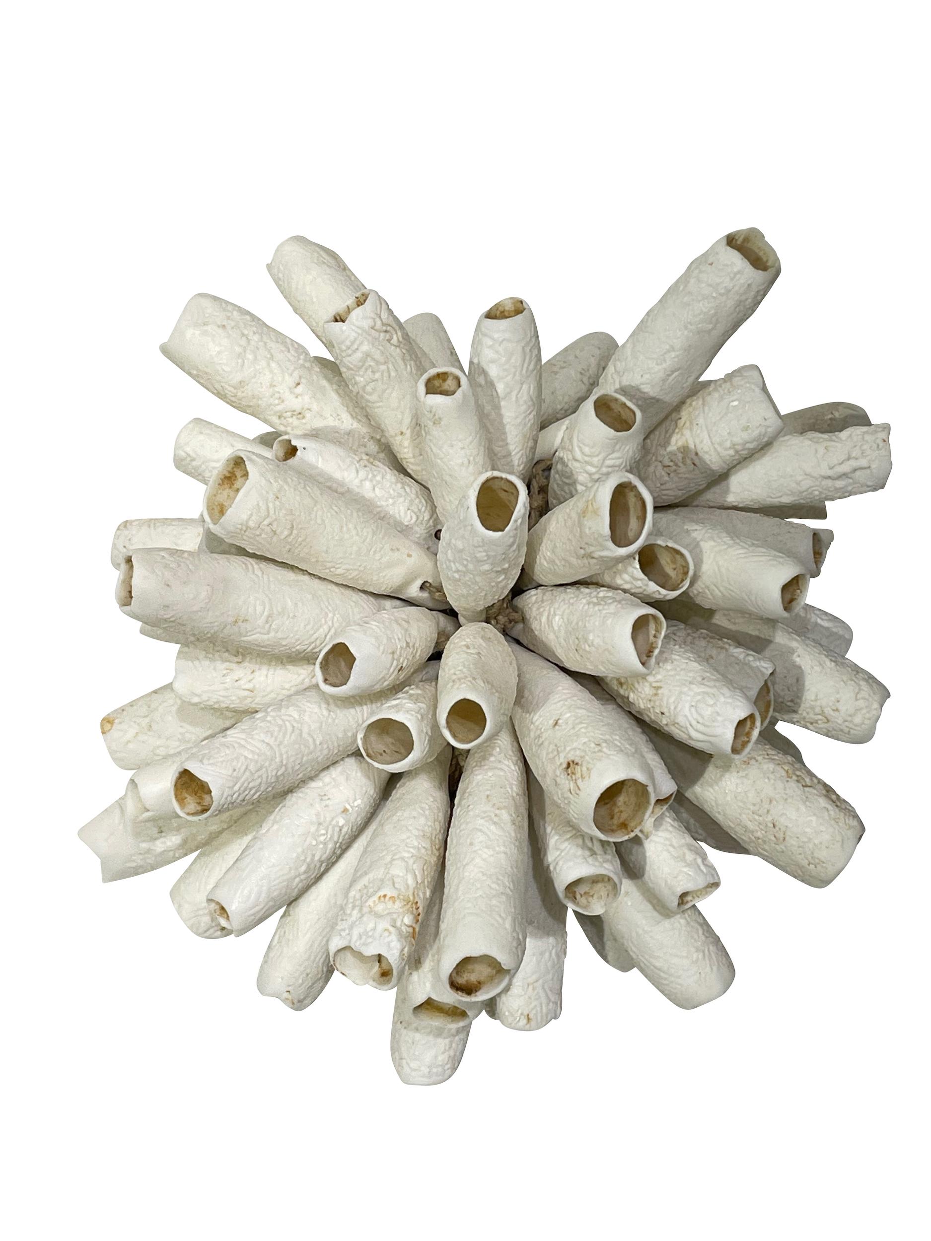Contemporary French handmade and hand cut porcelain pieces shaped
into that of a sea urchin.
Very unusual and decorative.