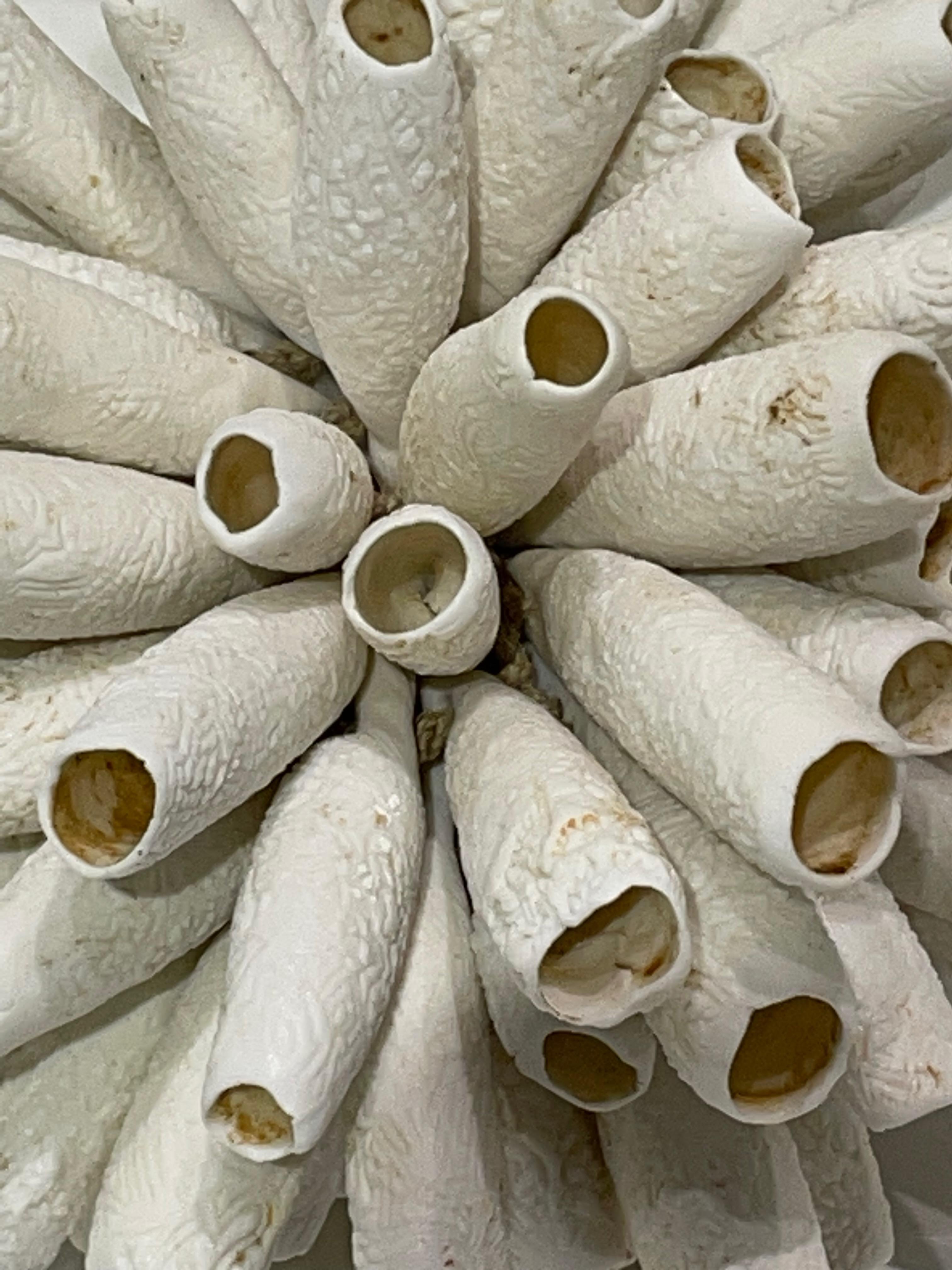 French White Porcelain Sea Urchin Sculpture, France, Contemporary
