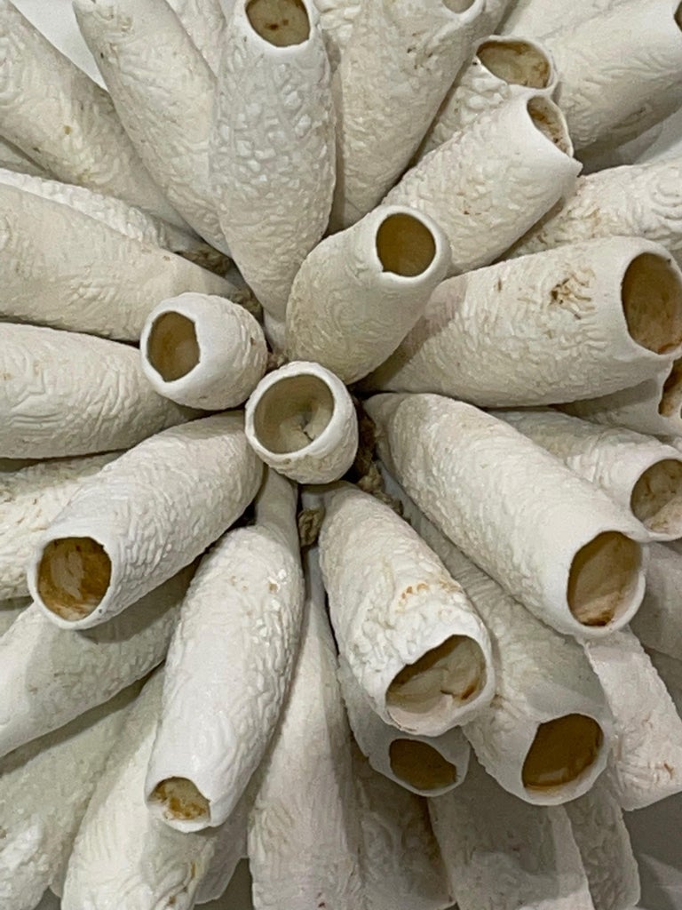 White Porcelain Sea Urchin Sculpture, France, Contemporary For Sale at