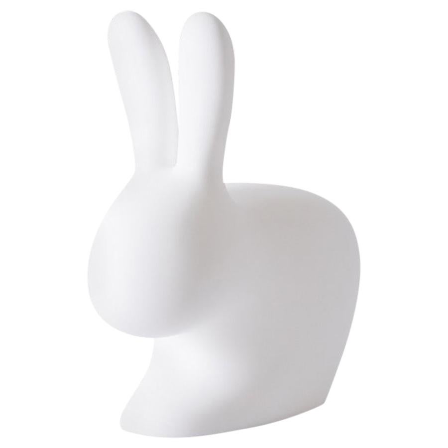 Weißer Kaninchenstuhl, entworfen von Stefano Giovannoni, hergestellt in Italien  im Angebot
