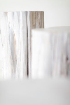 White Red Cedar Stump Table