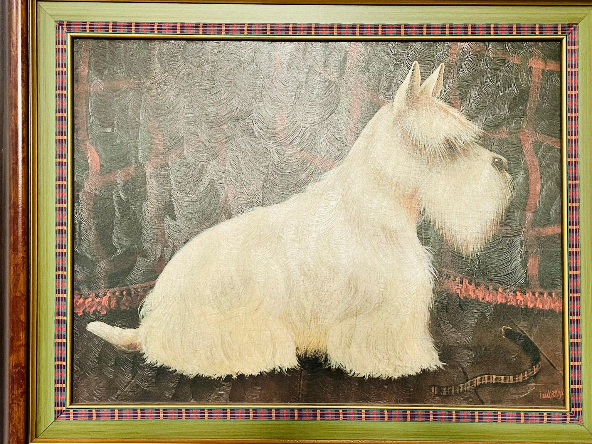 scottish terrier white