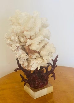 White Sea Coral Cluster on a Faux Red Coral Base