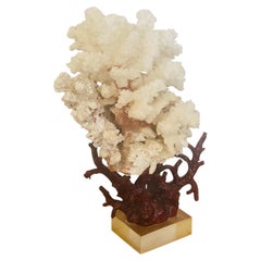 White Sea Coral Cluster on a Faux Red Coral Base