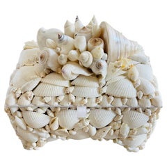 Conchas Marinas Blancas Bodas Tesoro Joyero