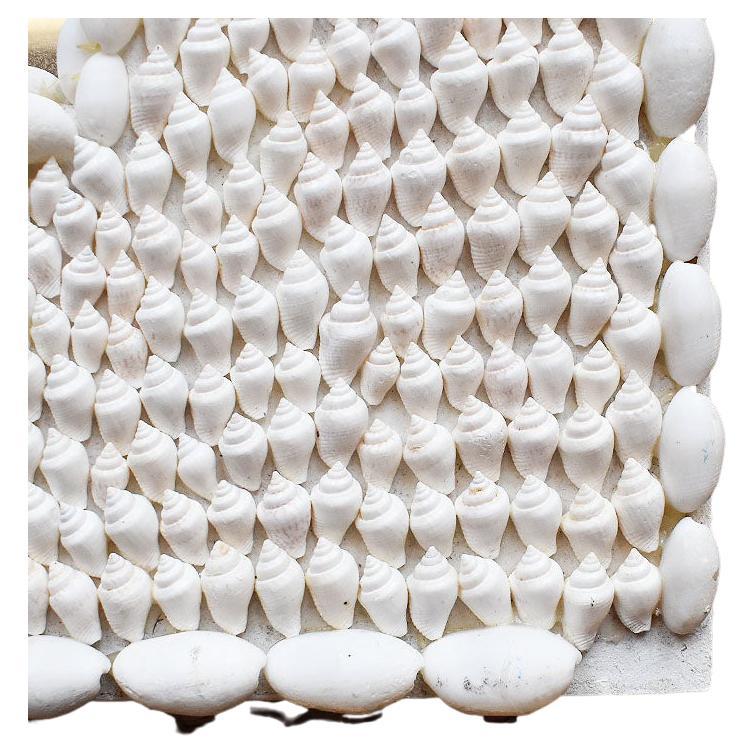 A small square seashell encrusted wall mirror. The back is created from wood, with various types of seashells encrusted around the front and edges. A mirror sits just inside. The back includes two holes for hanging. Several missing shells