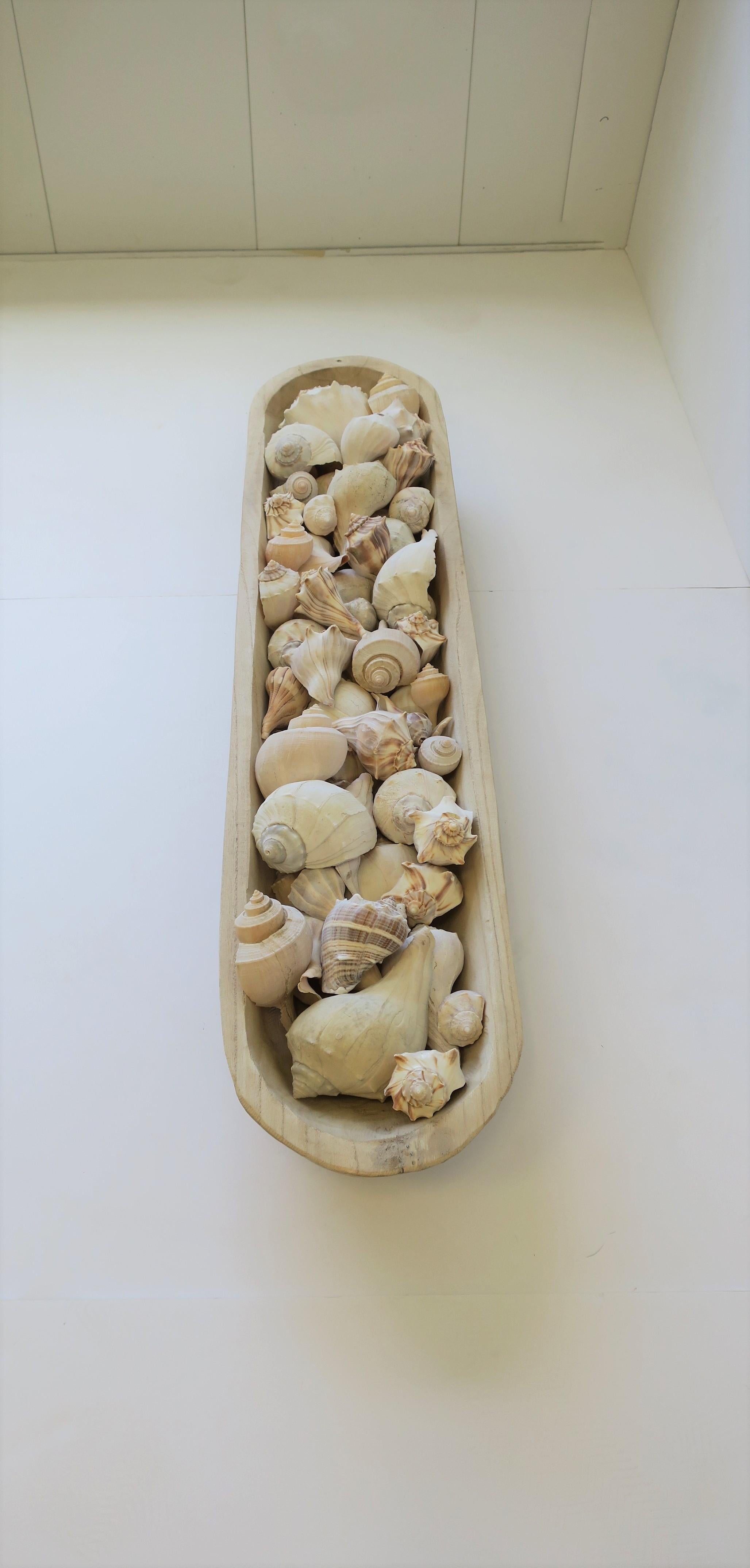Seashells in Wood Centerpiece Vessel For Sale 4
