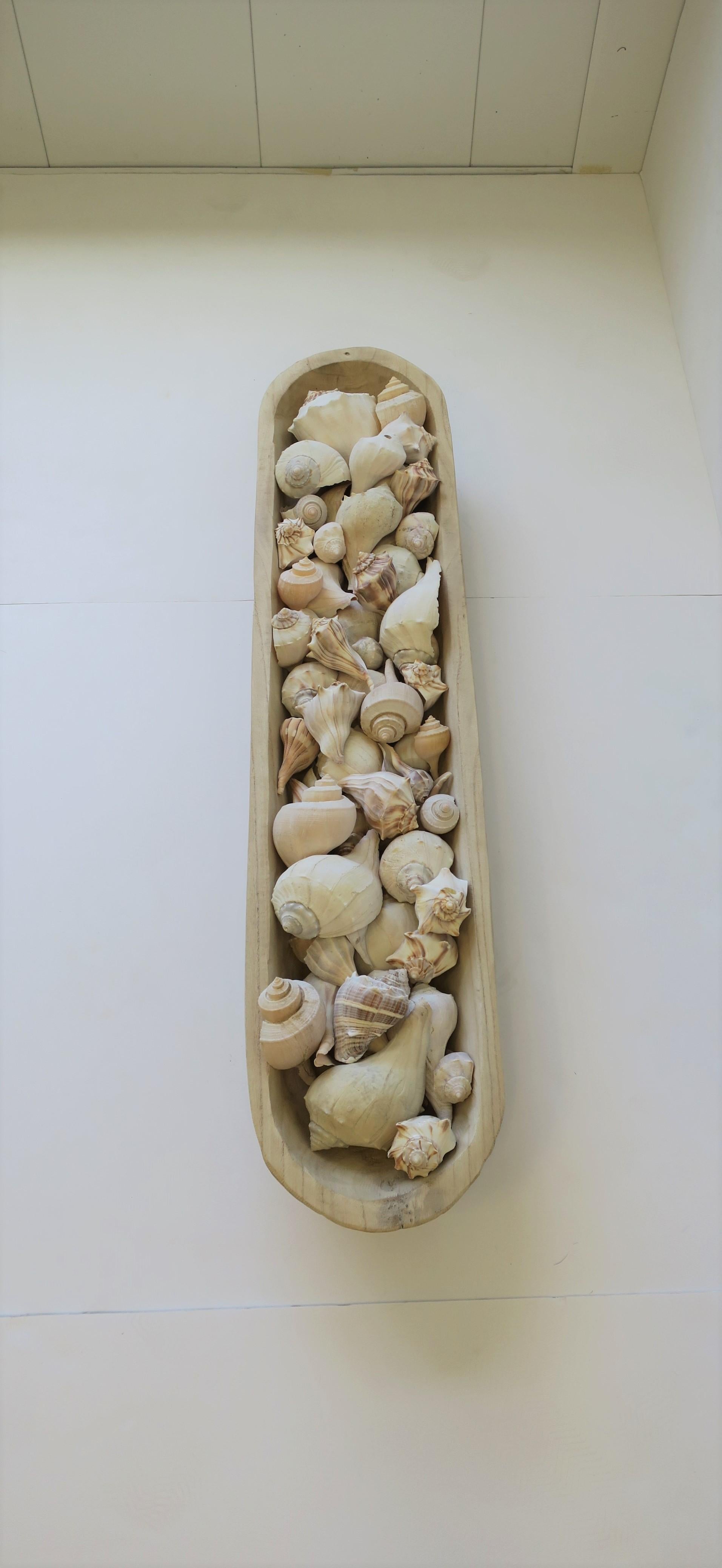 Seashells in Wood Centerpiece Vessel For Sale 5