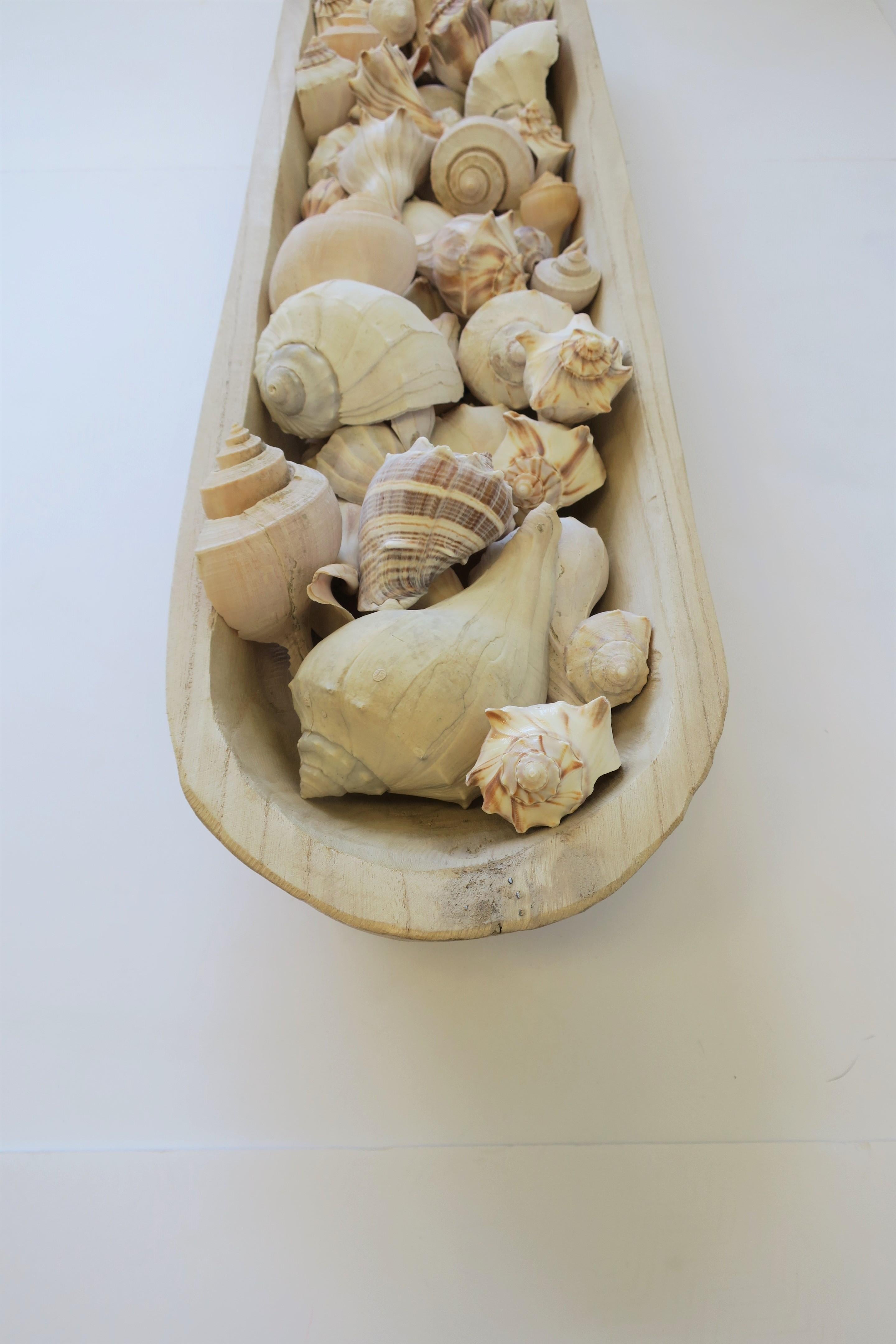 Seashells in Wood Centerpiece Vessel For Sale 6