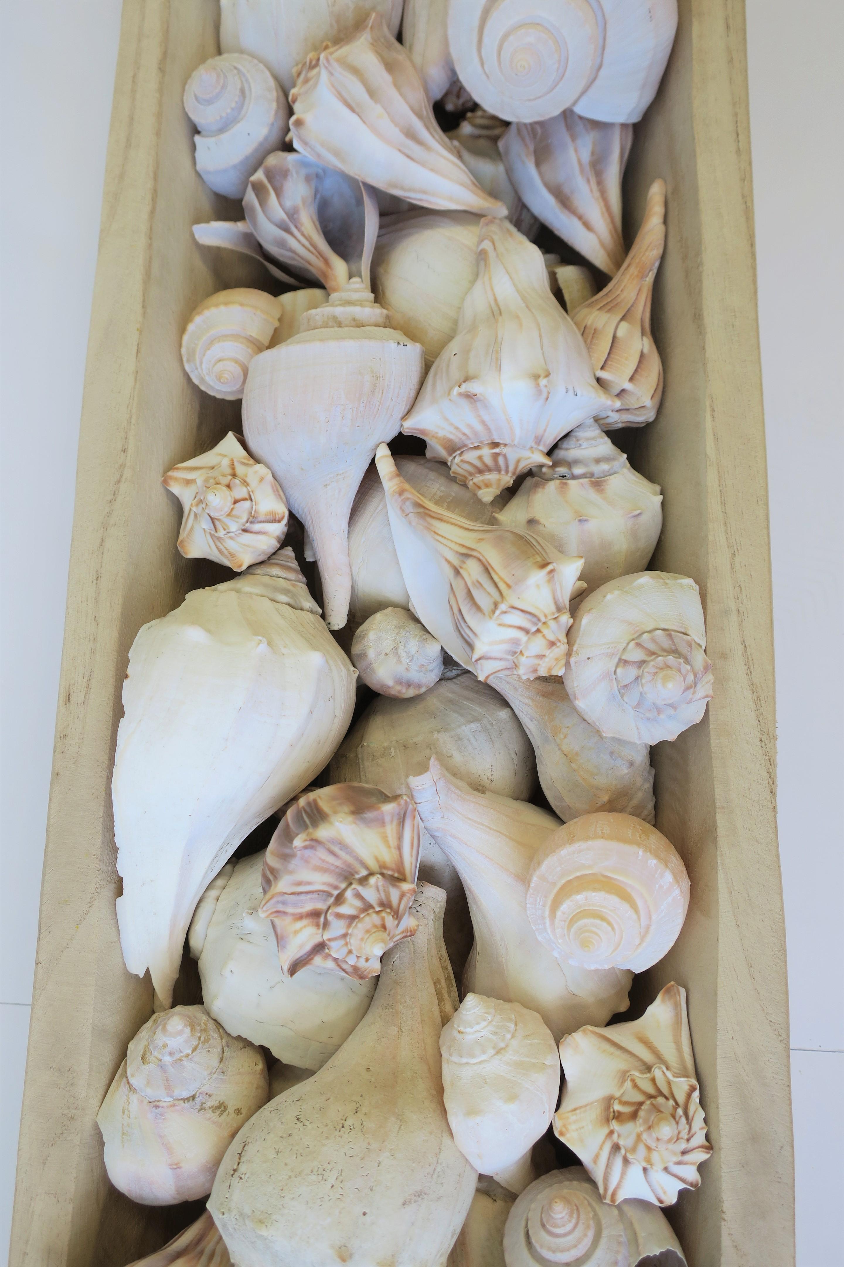 Seashells in Wood Centerpiece Vessel For Sale 8