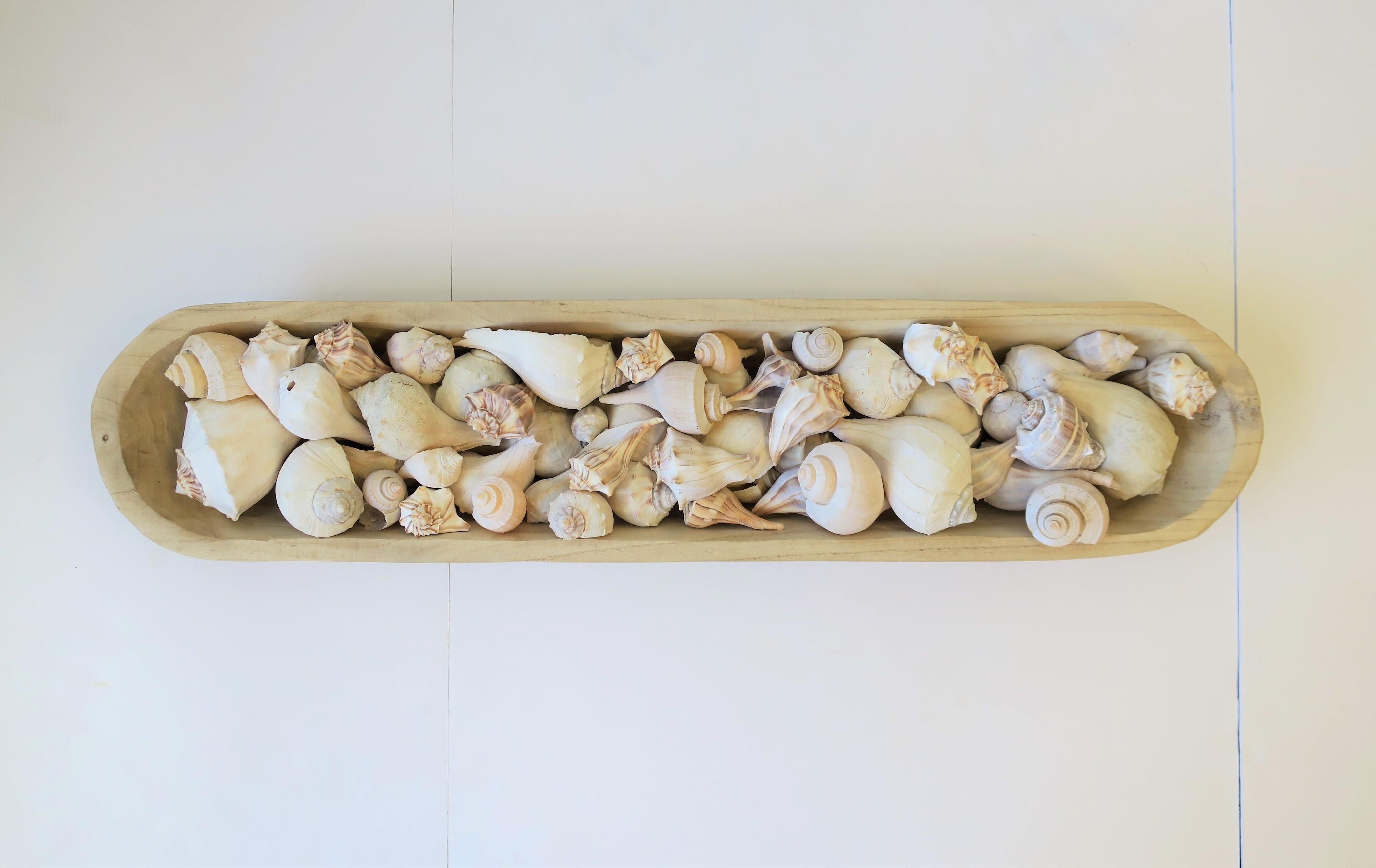 Organic Modern Seashells in Wood Centerpiece Vessel For Sale