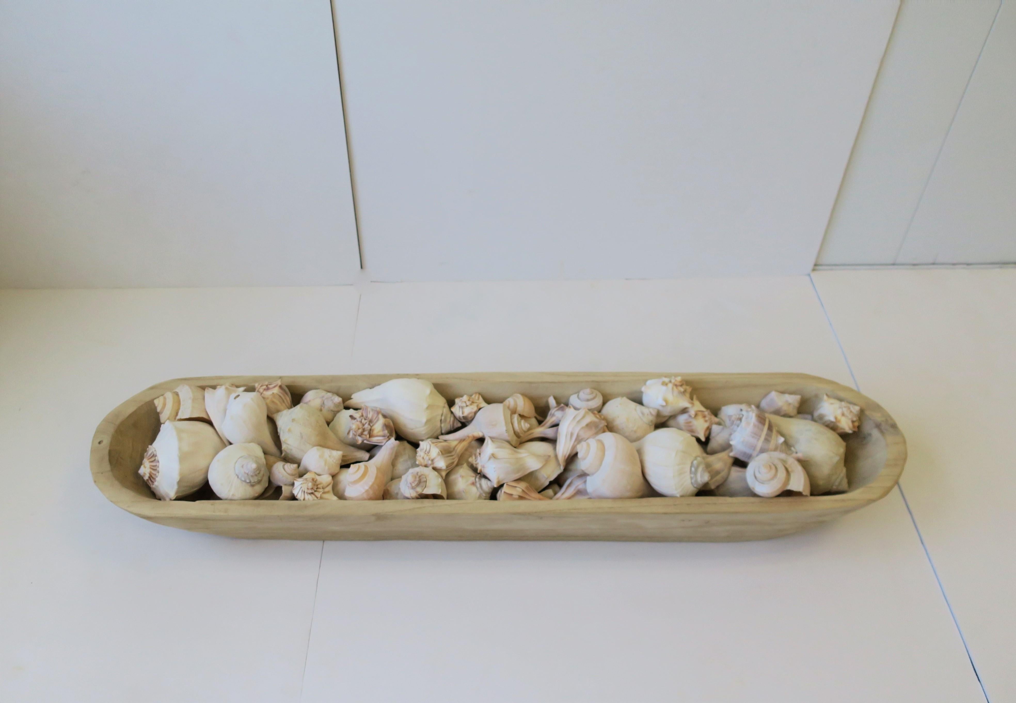 American Seashells in Wood Centerpiece Vessel For Sale