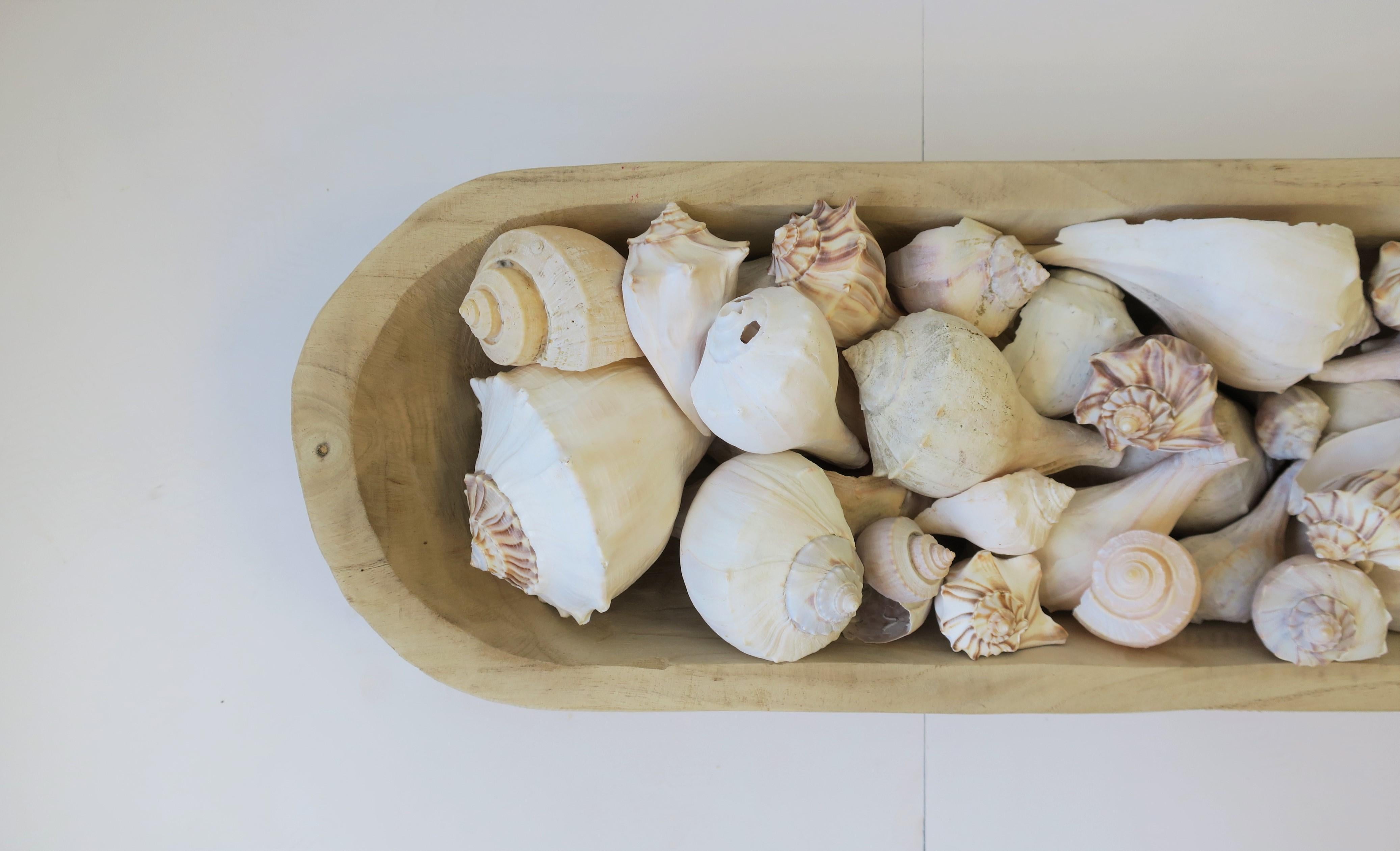 Seashells in Wood Centerpiece Vessel In Excellent Condition For Sale In New York, NY