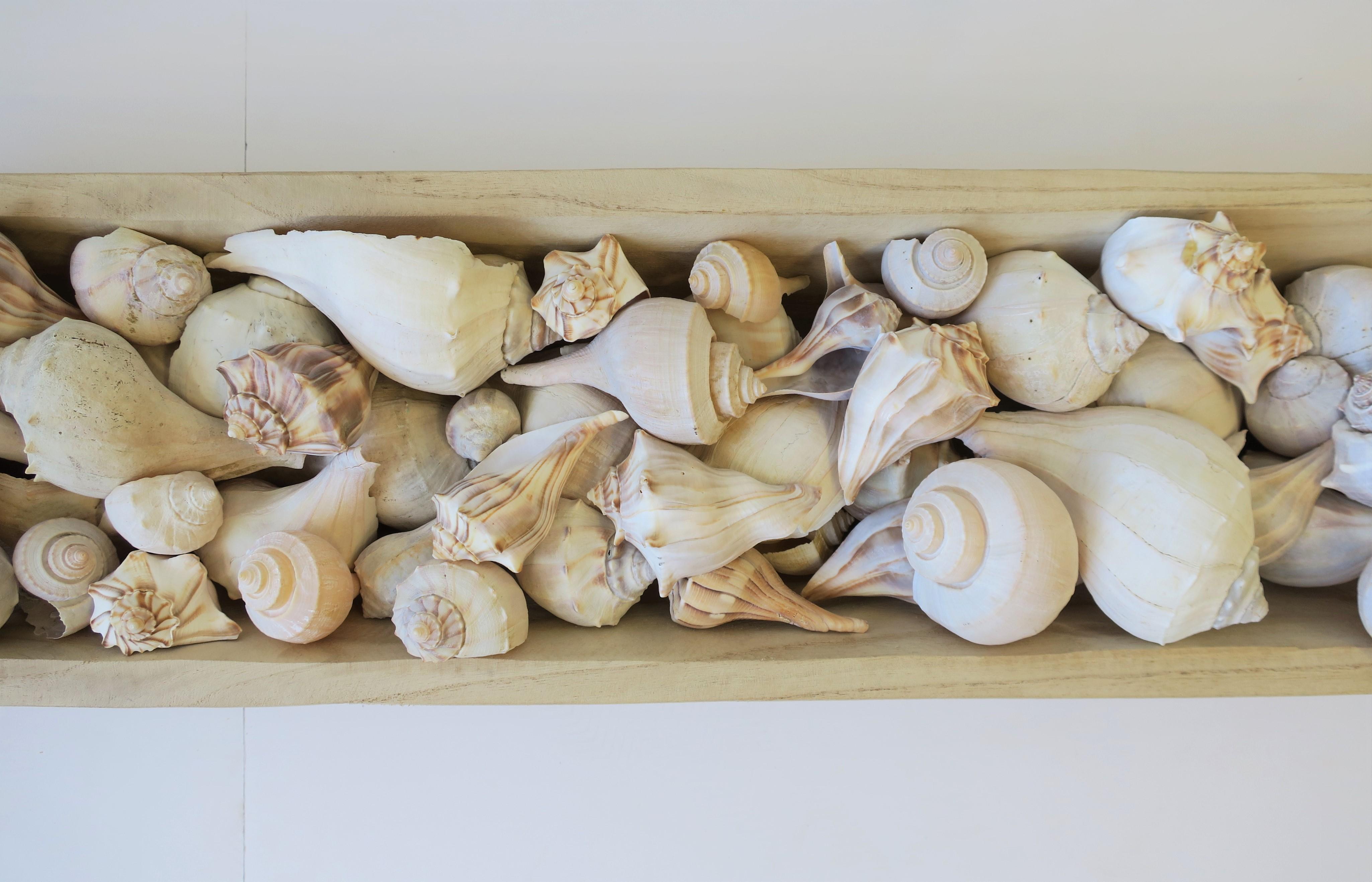 20th Century Seashells in Wood Centerpiece Vessel For Sale