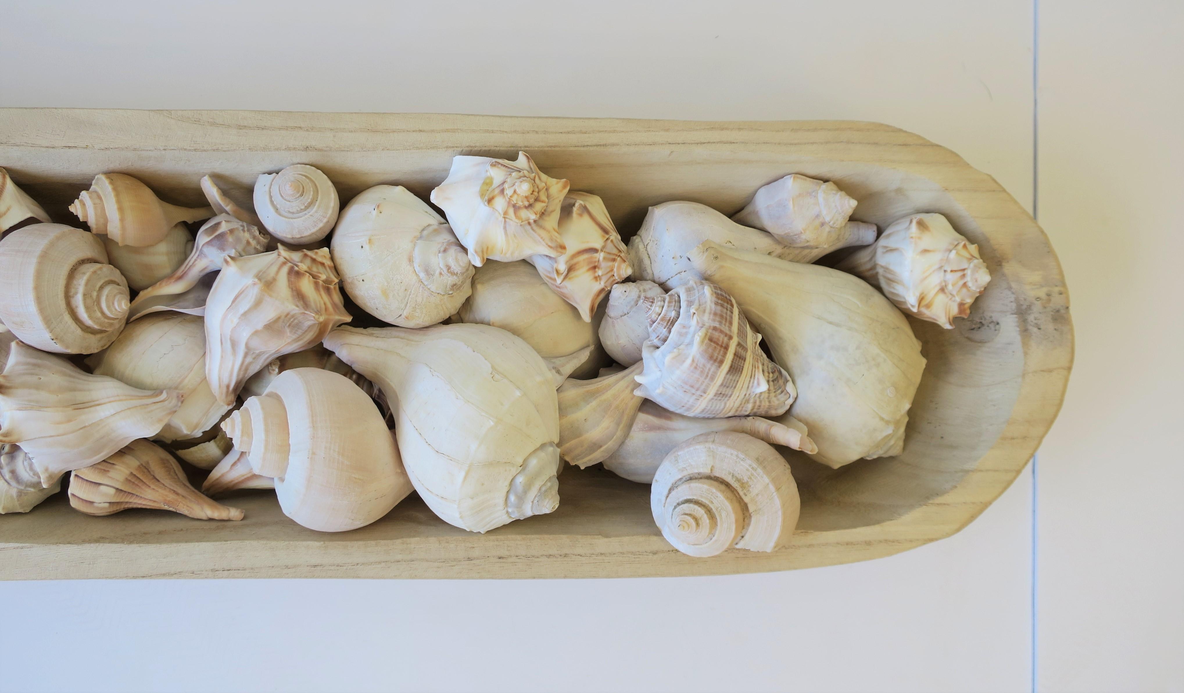 Shell Seashells in Wood Centerpiece Vessel For Sale