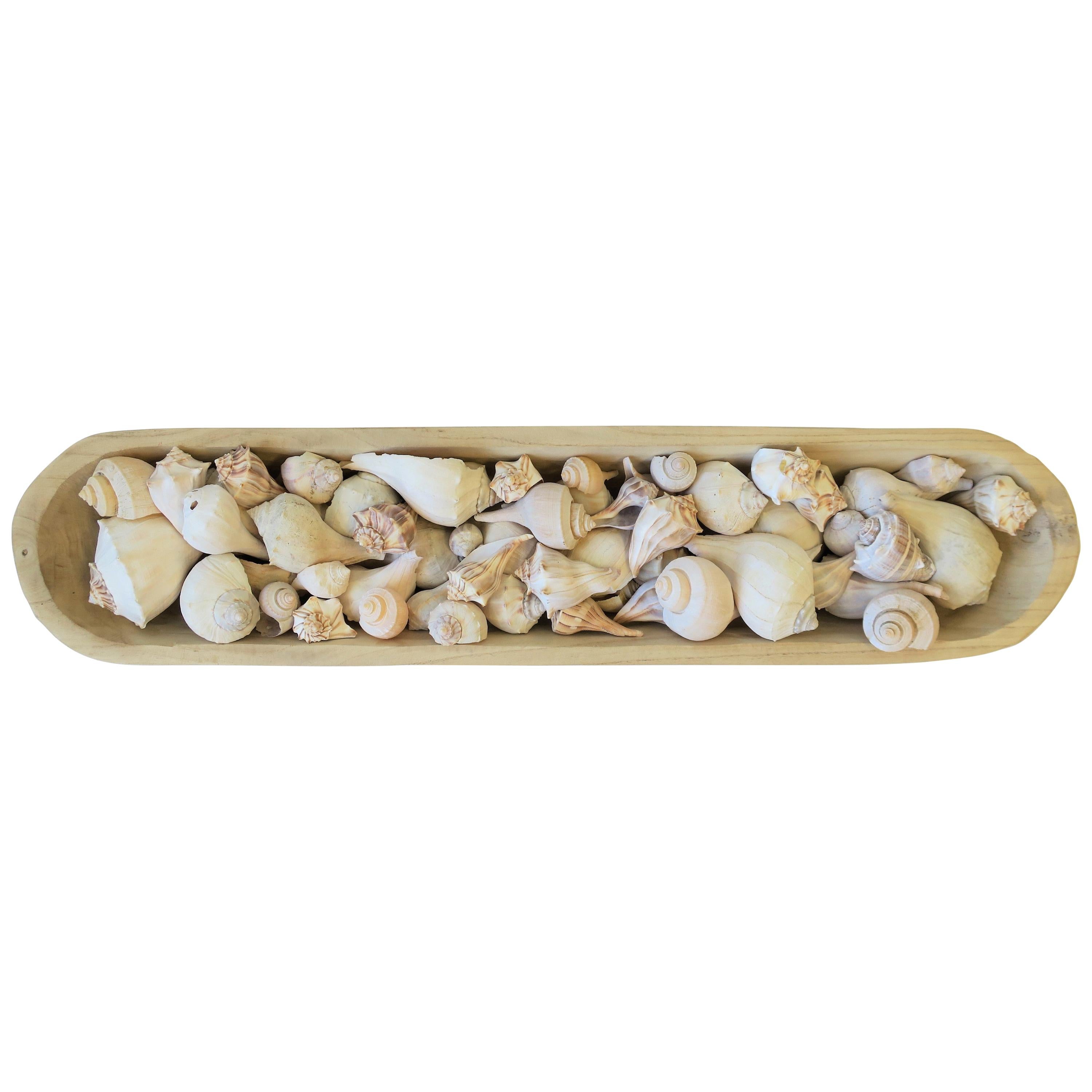Seashells in Wood Centerpiece Vessel For Sale
