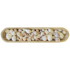 Seashells in Wood Centrepiece Vessel
