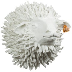 White Sheep Trophy, Picot FR4149