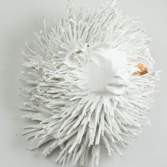 White Sheep Trophy, Rasta FR3509