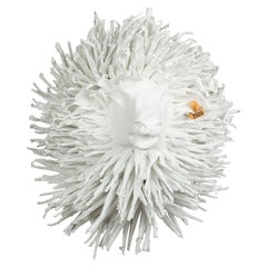 White Sheep Trophy, Rasta FR3509