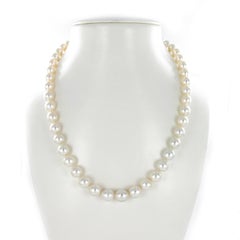 White South Sea Cultured Pearl Necklace