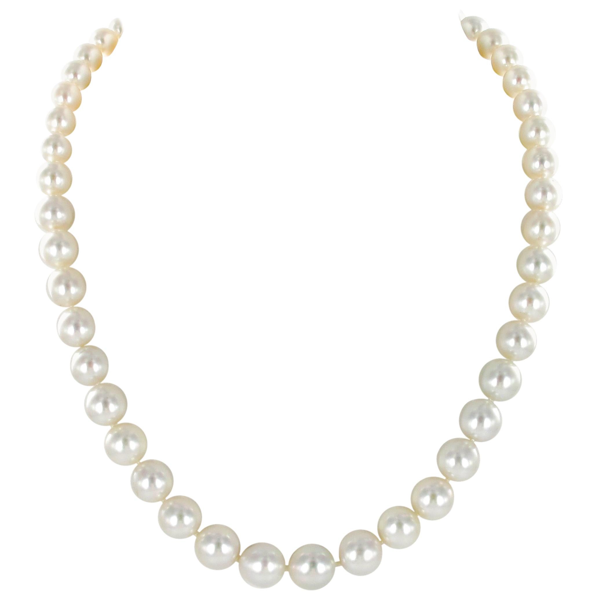 White South Sea Cultured Pearl Necklace For Sale