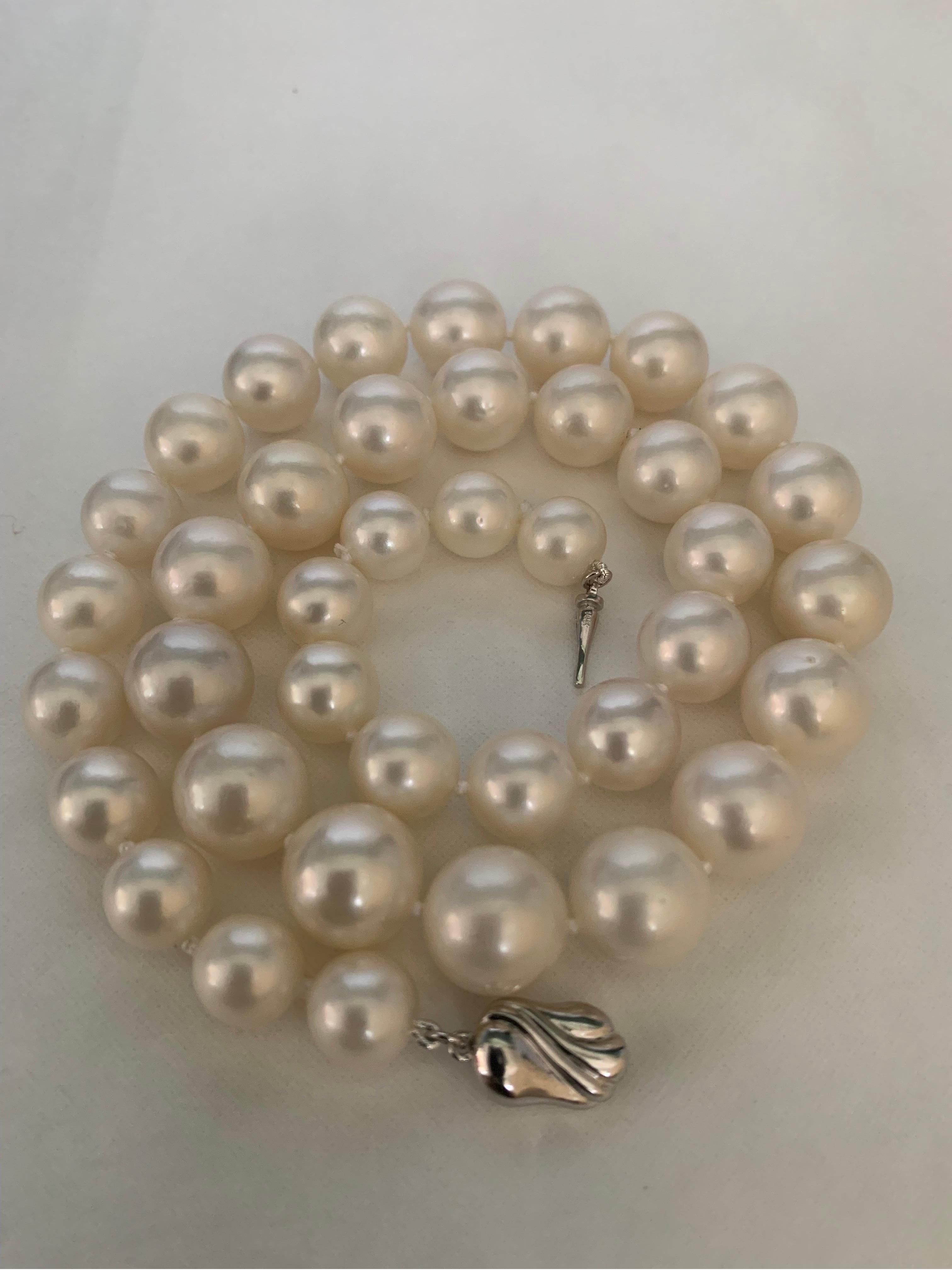 White South Sea Pearl Strand Necklace with White Gold Clasp For Sale 7