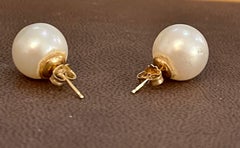 13 MM White South Sea Pearl Stud Earrings 14 Karat Yellow Gold