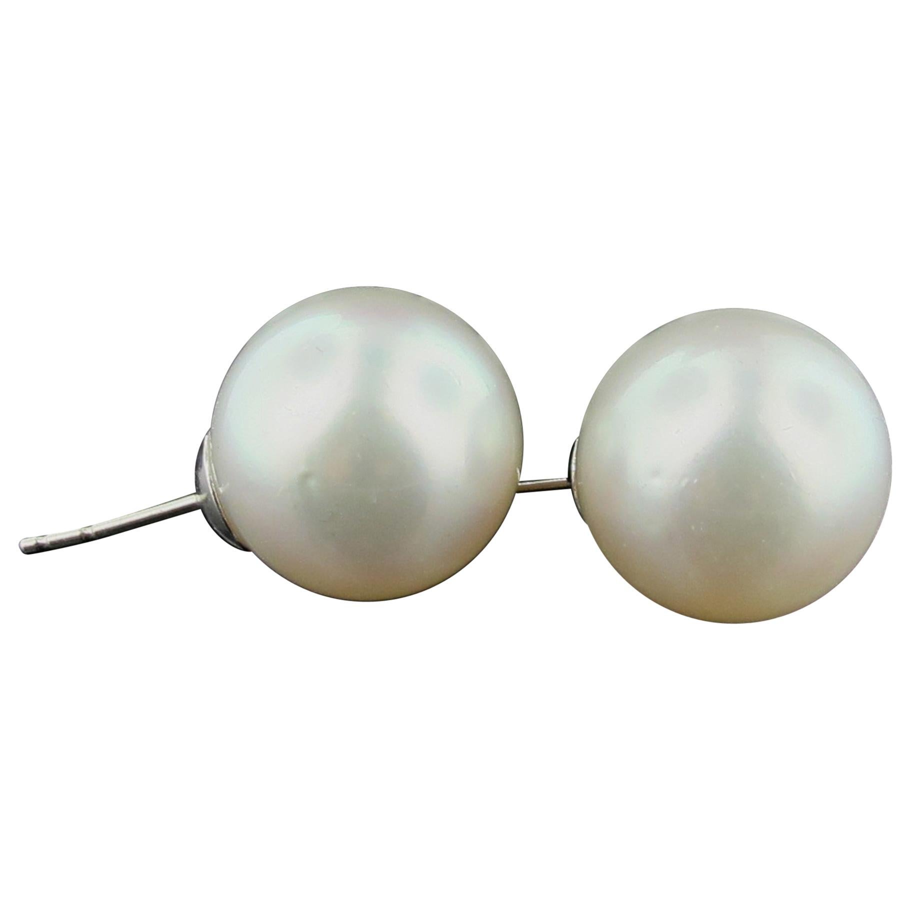 White South Sea Pearl Stud Earrings in 14 Karat White Gold