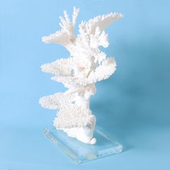 White Table and Branch Coral Sculpture on Lucite