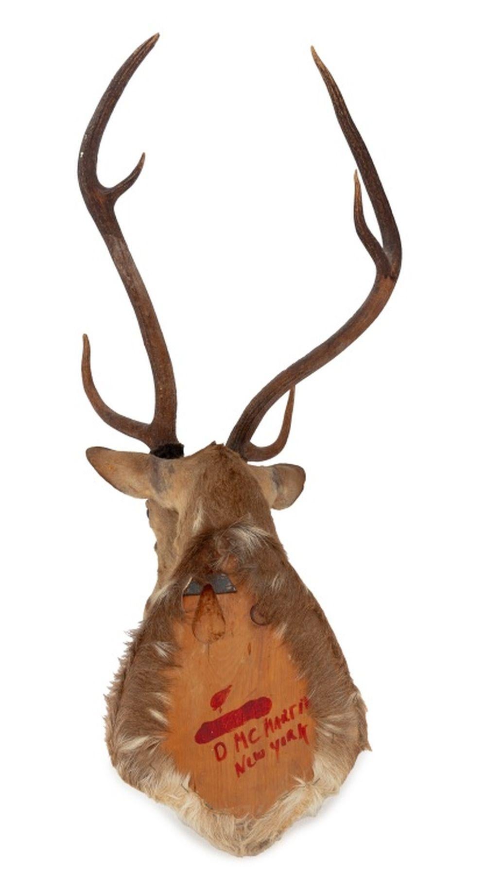 Weißwedelhirsch-Trophäe im Angebot 1