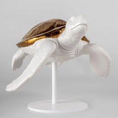 White Tortoise B Sculpture
