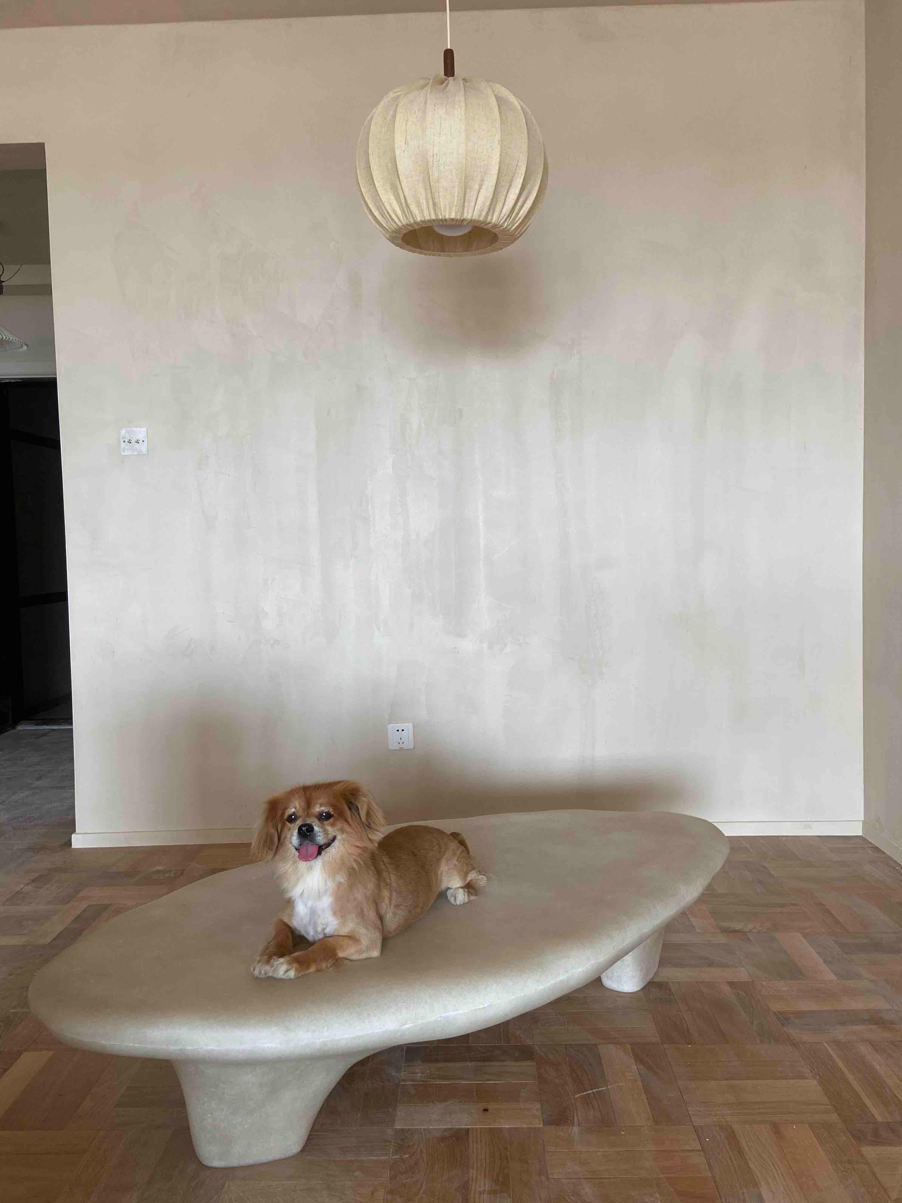 Fiberglass White Tripod Coffee Table by Karstudio