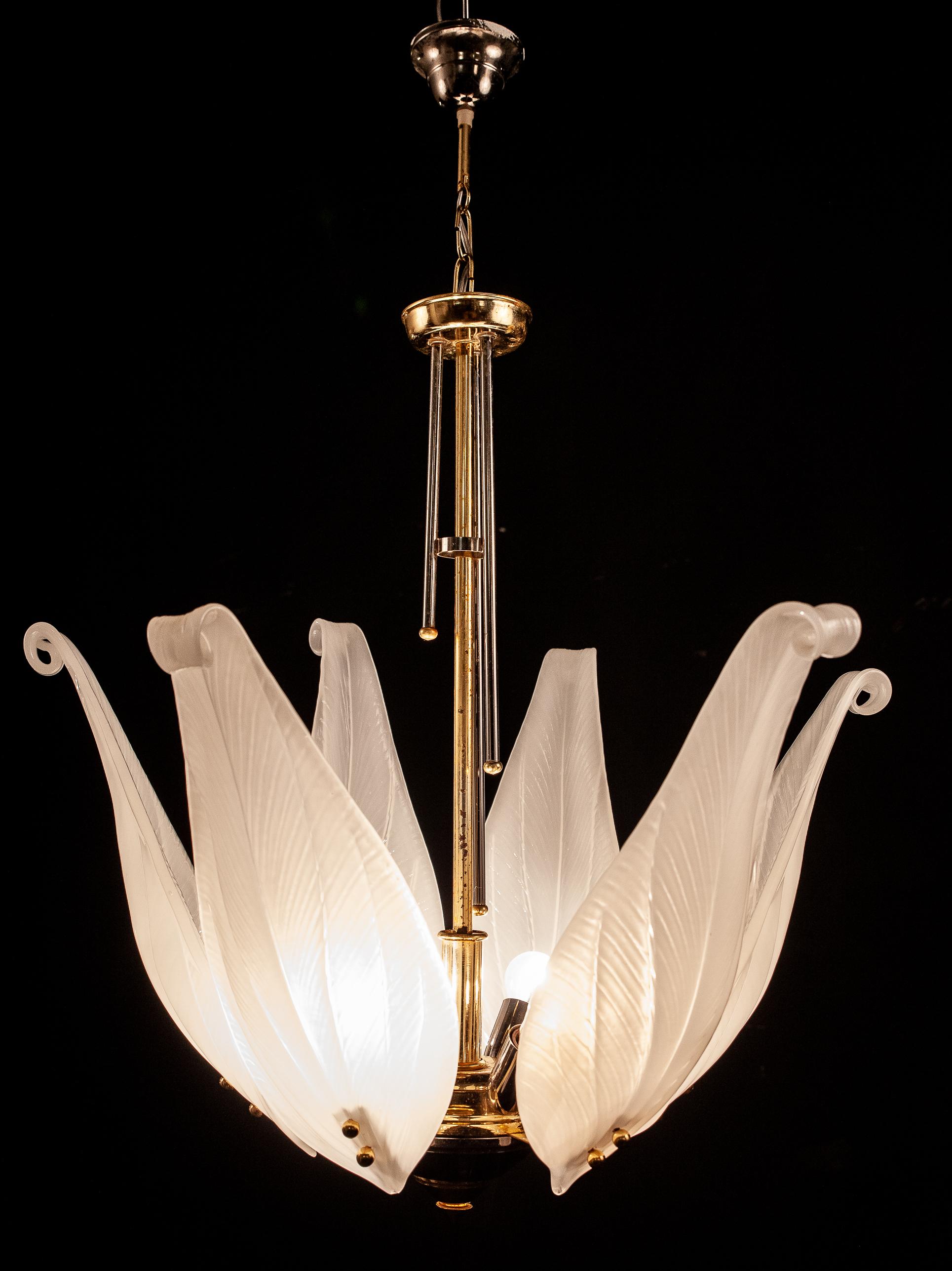 white tulip chandelier