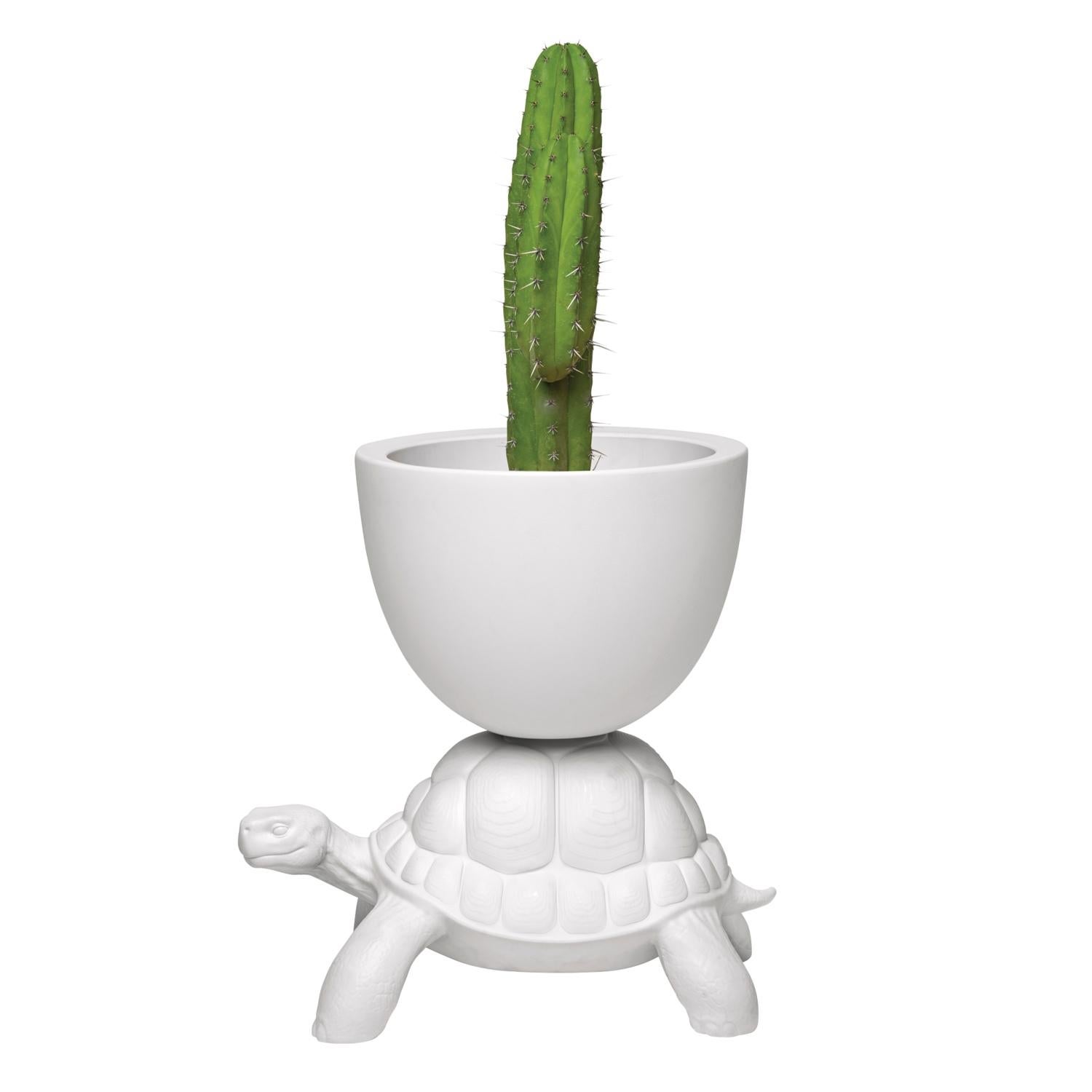 Modern In Stock in Los Angeles, White Turtle Carry Planter / Champagne Cooler