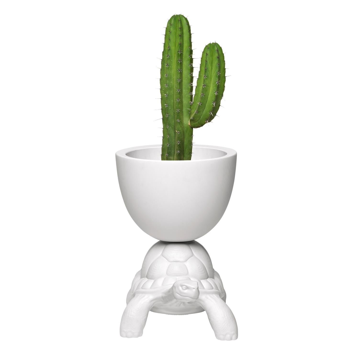 Italian In Stock in Los Angeles, White Turtle Carry Planter / Champagne Cooler