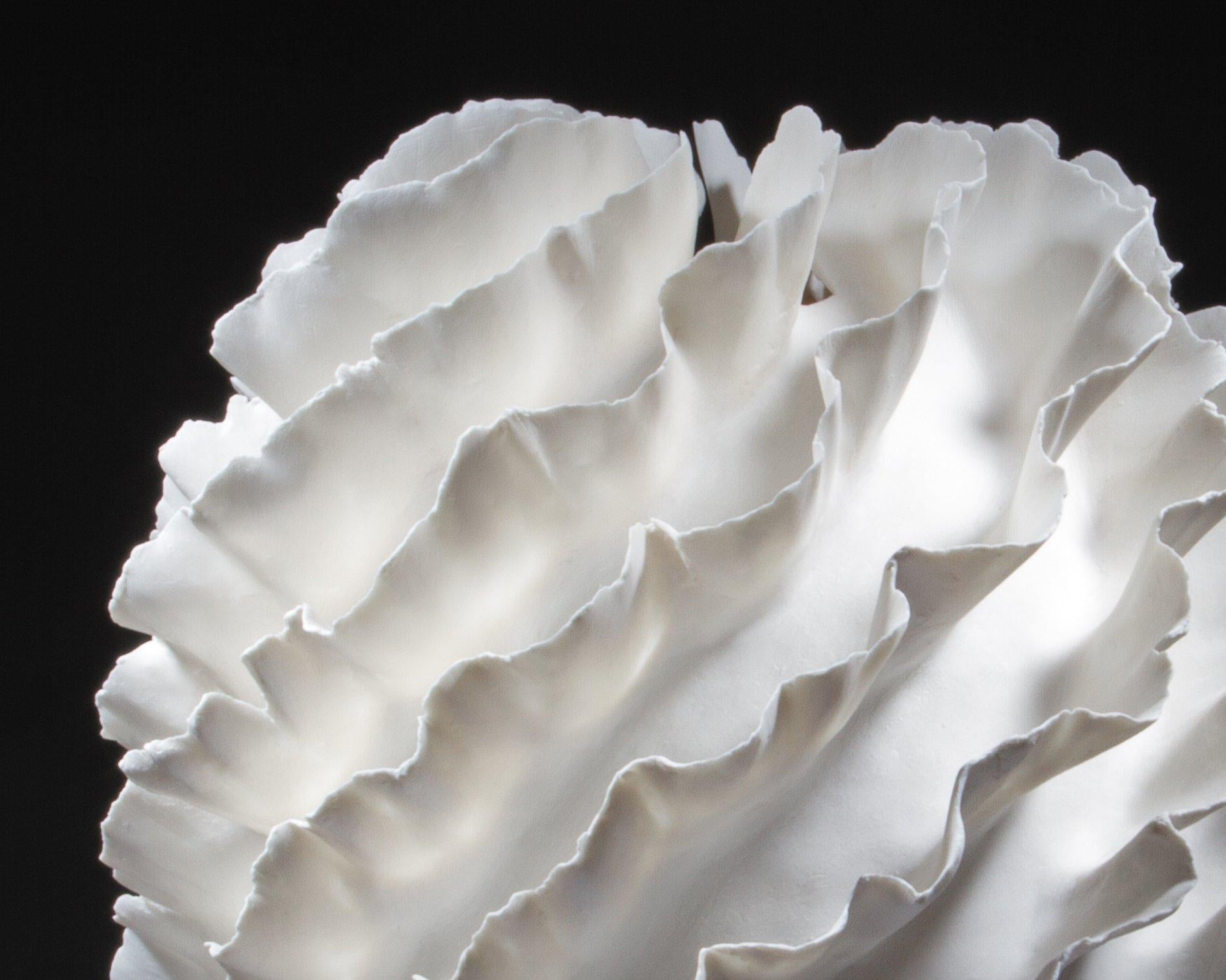 Coral Flower II, 2023, (Porcelain, C. 14.5 in. h x 10.6 in. diam., Object No.: 4184)

Davolio’s sophisticated porcelain works and their organic and natural references are influenced by the Art Nouveau style, the keen interest in the mechanics of