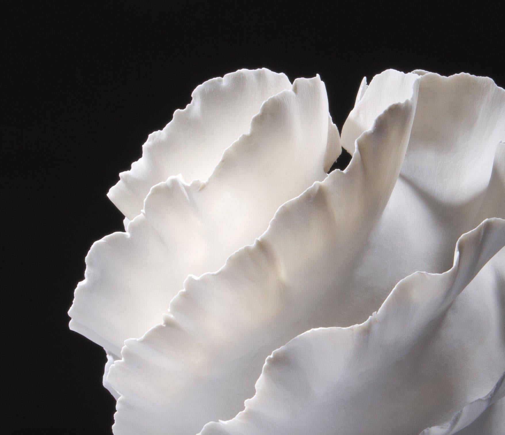 Sculptural Vase II, 2023, (Porcelain, C. 8.6 in. h x 8.2 in. diam., Object No.: 4185)

Davolio’s sophisticated porcelain works and their organic and natural references are influenced by the Art Nouveau style, the keen interest in the mechanics of