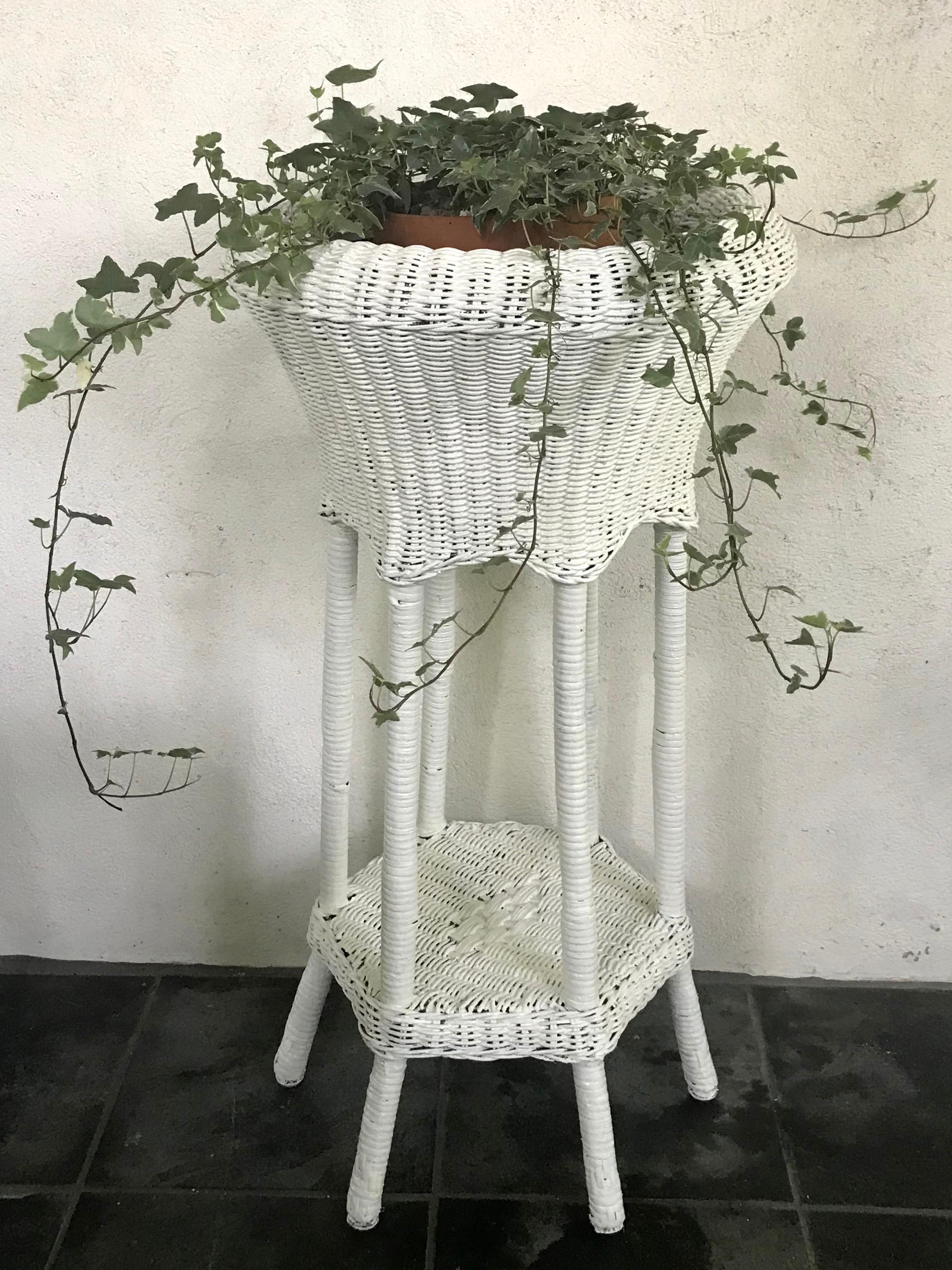 White wicker plant stand. Sturdy white painted vintage wicker cachepot plant stand of rolled round form descending to six rattan wrapped legs supporting a lower tray/ plant stand above six feet. American summer porch design. The real thing. United