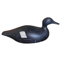 White Winged Scoter Decoy by Elmer Crowell, circa 1910