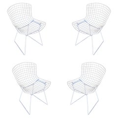 Vintage White Wire Side Chair by Harry Bertoia for Knoll, 1952 Set of 4