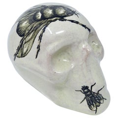 White with Fly Talavera Ceramic Skull Talavera De La Reina Puebla, Mexico
