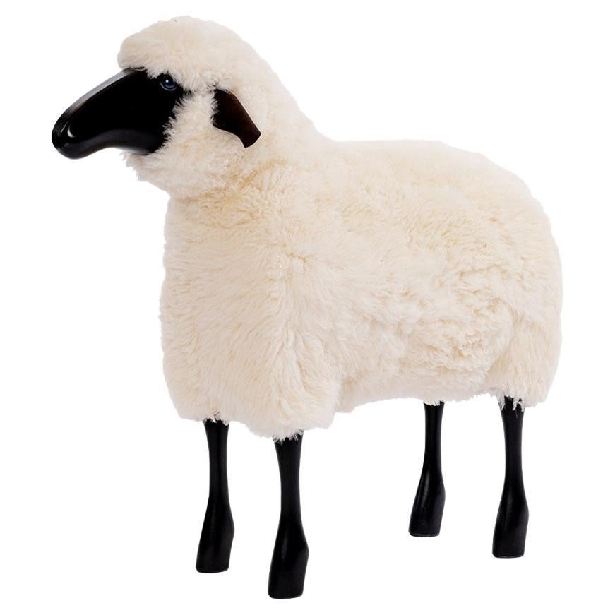 White Wool Black Stained Wood with Blue Eyes Life-Size Sheep