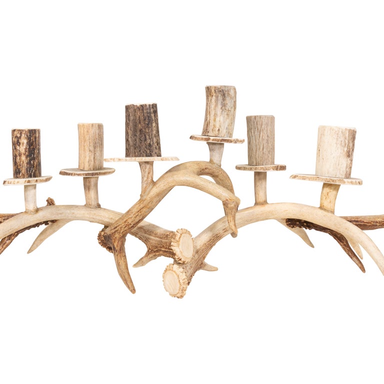 Whitetail Deer Antler Candelabra For Sale at 1stdibs
